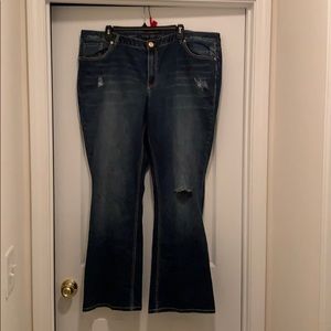 Never worn Lane Bryant jeans